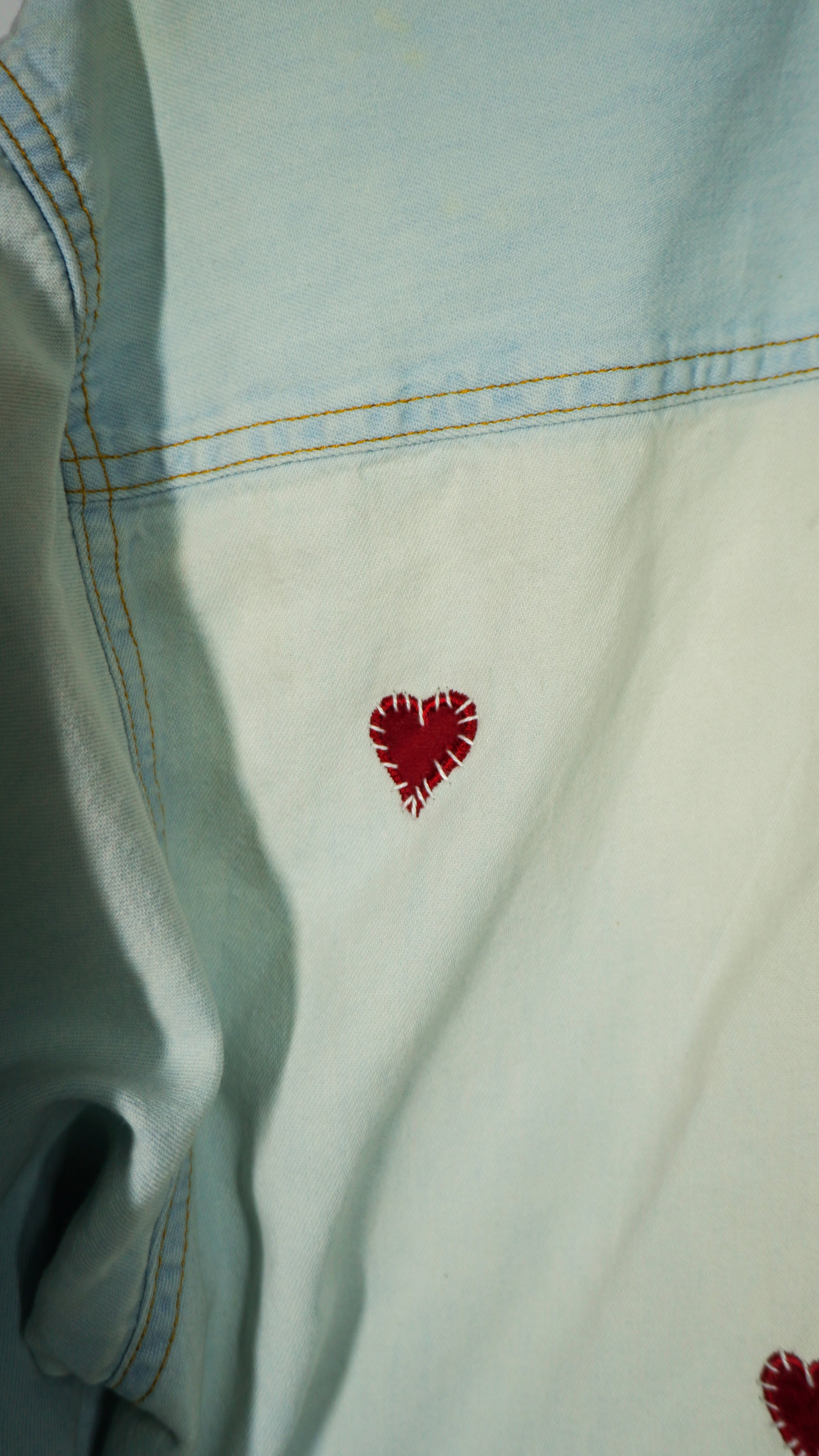 DIL BUTTONDOWN-0038